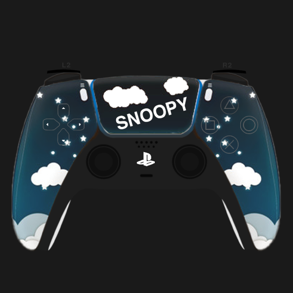 CalmSnowPS5 Controller